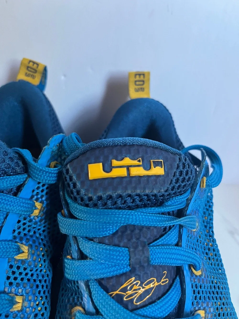 Nike LeBron 12 Low in the 